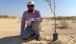 «البيئة الخضراء بالأحساء» توثق تجربة التشجير بالمياه المالحة عالميًا عبر WOCAT