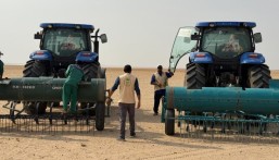 انطلاق أعمال نثر البذور البرية والرعوية في قرية العليا