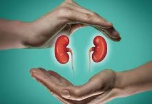 كيف تحمي الكلى من الحصوات والالتهابات؟.. 5 مشروبات يومية مهمة