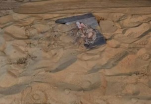 في الشرقية.. ضبط مخالف لإشعاله النار في الأماكن غير المخصصة لها