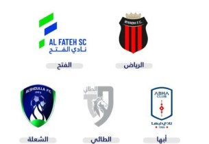 عاجل| من بينهم الفتح.. وزارة الرياضة تعلن طرح 5 أندية ضمن مشروع التخصيص