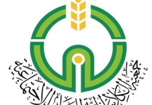  اعرف الشروط وطريقة التسجيل.. الكلابية الخيرية تعلن وظائف شاغرة للجنسين في عدة تخصصات