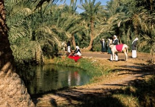 “صور نادرة ” توثّق سيرة الأحساء في صناعة الأمن الغذائي للمملكة والعالم