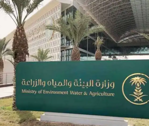 السداد خلال 60 يوما.. لائحة جديدة لتعويض الأضرار البيئية تلزم المتسببين بإعادة التأهيل 