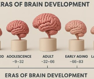 دراسة: مرحلة المراهقة قد تمتد حتى سن 32 عامًا