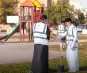 ضمن دور الطلاب الخدمي.. 200 متطوع يشاركون في مبادرة جمال الأحساء الحضري