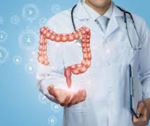 أبحاث جديدة تكشف: الأمعاء قد تتحكم فيما نأكله أكثر مما نعتقد