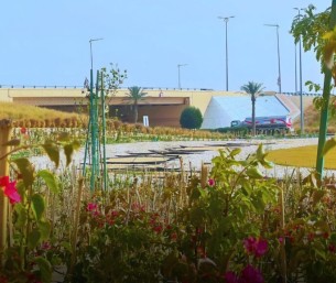 أمانة الأحساء تستحضر الإرث الزراعي في يوم مبادرة السعودية الخضراء