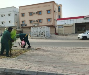 بلدية العيون تطلق المرحلة الثانية من مبادرة “زراعة الشجر”