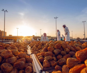تطوير منظومة إنتاج متكاملة.. أرامكو تعزز قطاع التمور في الأحساء عبر تدريب 200 مستفيد