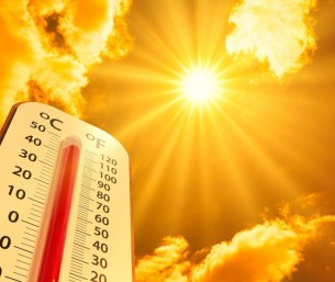 حرّ الأحساء بين القيظ وسهيل.. رحلة الصيف من اللهيب إلى الاعتدال