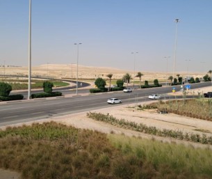 أمانة الأحساء تنجز مشروع تشجير “جسر المطار” تعزيزًا لجودة الحياة