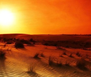 تعرف باسم «طباخ التمر».. بدء «جمرة القيظ».. أشد فترات الصيف حرارة في المملكة