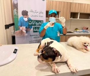 في الأحساء … “وقاء” يطلق حملة تحصين الحيوانات الأليفة ضد مرض السعار