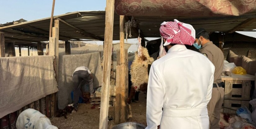ضبط 4 أحواش عشوائية للذبح خلال عيد الأضحى بالأحساء