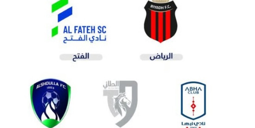 عاجل| من بينهم الفتح.. وزارة الرياضة تعلن طرح 5 أندية ضمن مشروع التخصيص