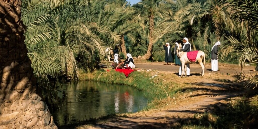 “صور نادرة ” توثّق سيرة الأحساء في صناعة الأمن الغذائي للمملكة والعالم