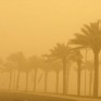 حتى 7 مساء.. أتربة مثارة ورياح على الأحساء وأجزاء من الشرقية