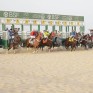 بالصور.. ميدان فروسية الأحساء يقيم سباقه الرابع عشر