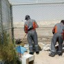 بيئة رياضية أفضل.. بلدية العيون تعالج التشوه البصري