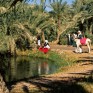 “صور نادرة ” توثّق سيرة الأحساء في صناعة الأمن الغذائي للمملكة والعالم
