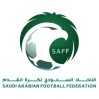 الاتحاد السعودي يصدر بيانًا بشأن أحداث مباراة الفيحاء والأهلي