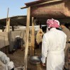 ضبط 4 أحواش عشوائية للذبح خلال عيد الأضحى بالأحساء