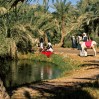“صور نادرة ” توثّق سيرة الأحساء في صناعة الأمن الغذائي للمملكة والعالم