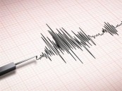 إصابة 22 جراء زلزال بقوة 6 ريختر ضرب غرب تركيا