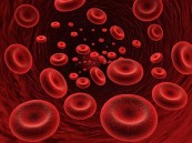 أبرز أسباب وأعراض فقر الدم وكيفية الوقاية منه