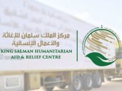 تجاوز تبرعات الحملة السعودية لإغاثة السودان 17 مليون ريال