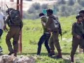 قوات الاحتلال الإسرائيلي تعتقل 15 فلسطينيًا في الضفة الغربية