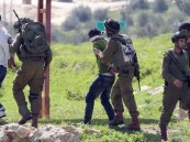 قوات الاحتلال الإسرائيلي تعتقل 17 فلسطينيًا في الضفة الغربية