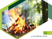 ضبط (26) مُخالفًا لنظام البيئة لإشعالهم النار في أراضي الغطاء النباتي