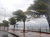 عاجل| مصرع 7 أشخاص وتشريد الآلاف في إعصار “دوكسوري” بالفلبين