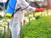 انتهاءَ مهلة السماح بتصريف كميات المبيدات المتداولة بالأسواق