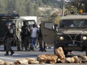قوات الاحتلال الإسرائيلي تعتقل 50 فلسطينياً في الضفة الغربية