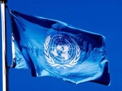 الأمم المتحدة تدق ناقوس الخطر بشأن الحرب على غزة