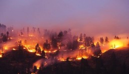 مصرع 19 شخصًا بسبب الحرائق في تشيلي