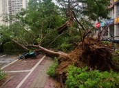 مصرع وإصابة 38 شخصاً إثر إعصار قوي في الصين