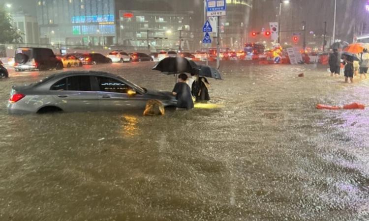 ارتفاع حصيلة ضحايا الأمطار الغزيرة والفيضانات في كوريا الجنوبية