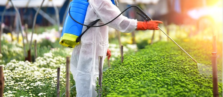 انتهاءَ مهلة السماح بتصريف كميات المبيدات المتداولة بالأسواق