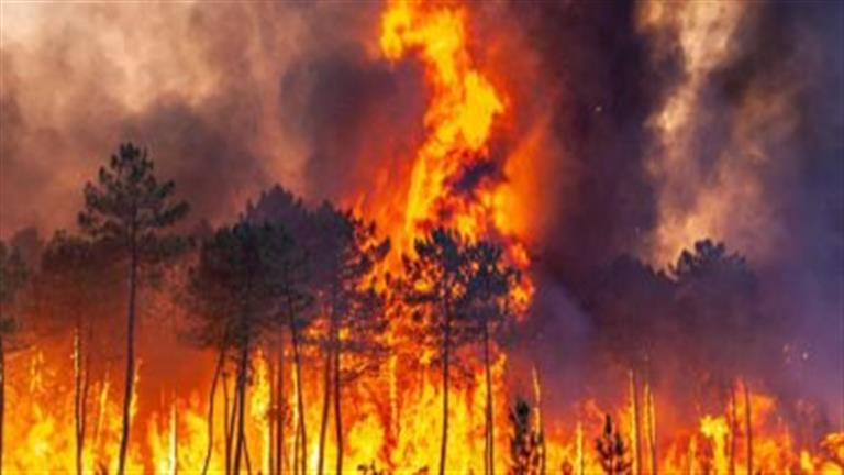مأساة في أمريكا.. ارتفاع عدد ضحايا حرائق الغابات في هاواي إلى 106 قتلى
