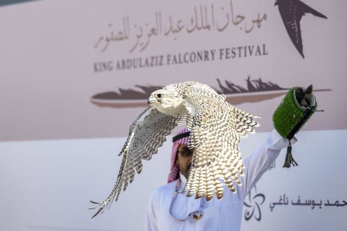 مهرجان الملك عبدالعزيز للصقور يُعلن عن جوائز تتجاوز 33 مليون ريال للفائزين بمسابقتيه الملواح والمزاين