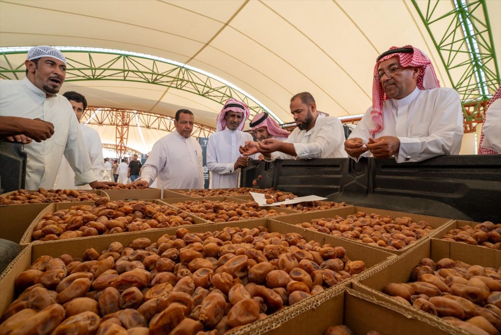 بالصور.. انطلاق موسم صرام التمور بالأحساء