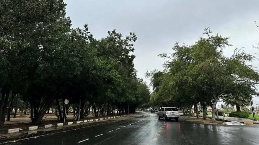 خبير أرصاد: “اصحى يا نايم.. اليوم نعيش أول الموجات الشتوية شبه الباردة”