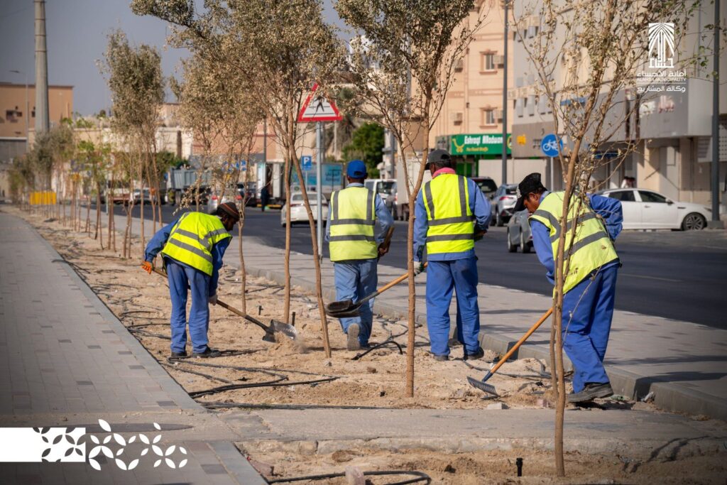 أمانة الأحساء تنتهي من زراعة الأشجار بطريق الملك عبدالعزيز في العمران