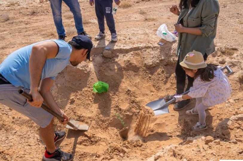 بالتعاون من 51 جهة.. زراعة أكثر من 31.2 مليون شجرة في الشرقية ضمن جهود “الغطاء النباتي”