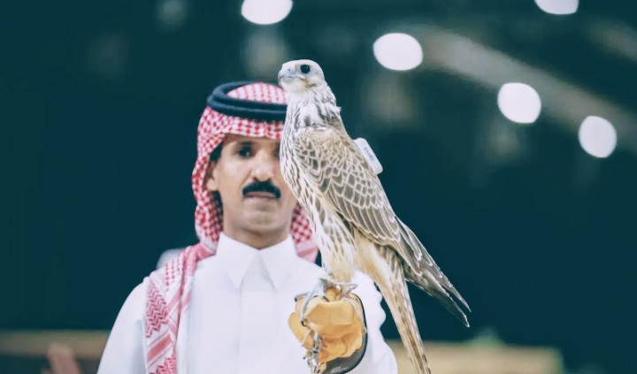 بيع صقرين بـ 180 ألف ريال في انطلاقة مزاد الصقور الدولي 2025