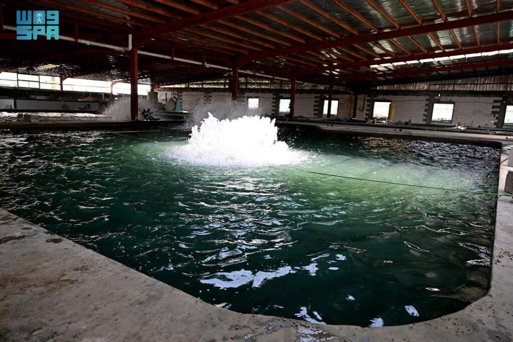 نهضة في الاستزراع السمكي بالشرقية: 44 ألف طن من الإنتاج تغذي الأسواق المحلية